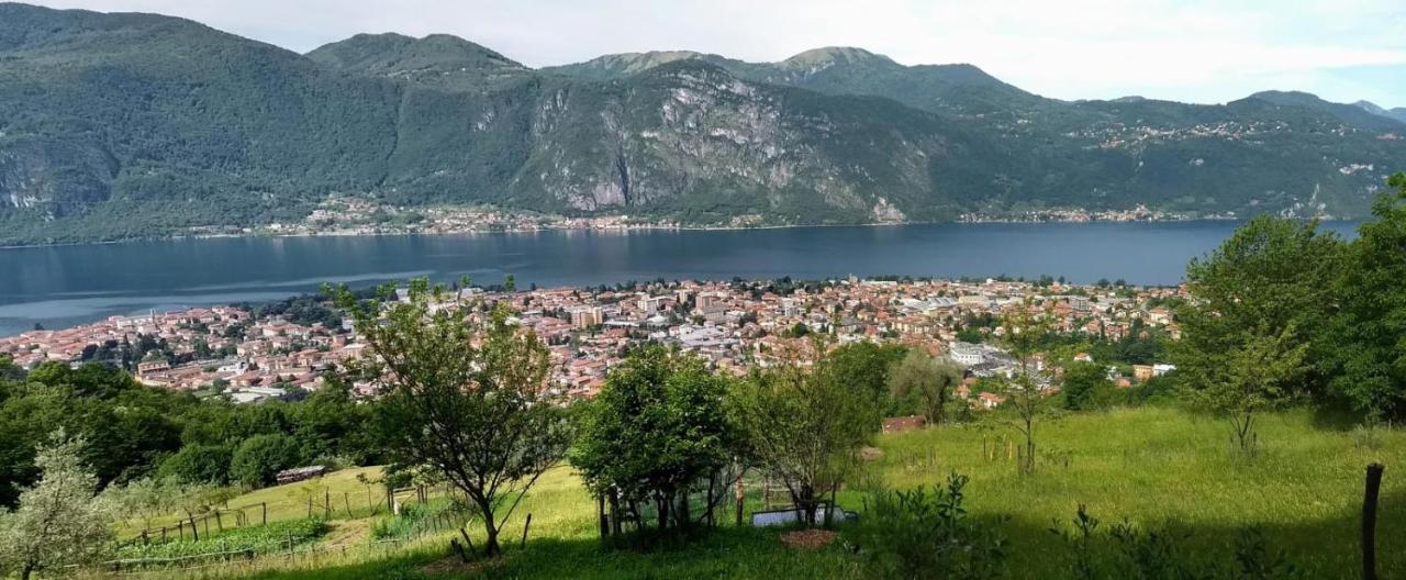 Villa Nido Di Rongio Mandello del Lario Exterior foto