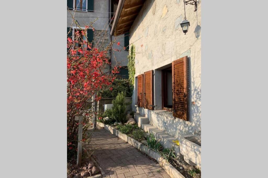Villa Nido Di Rongio Mandello del Lario Exterior foto