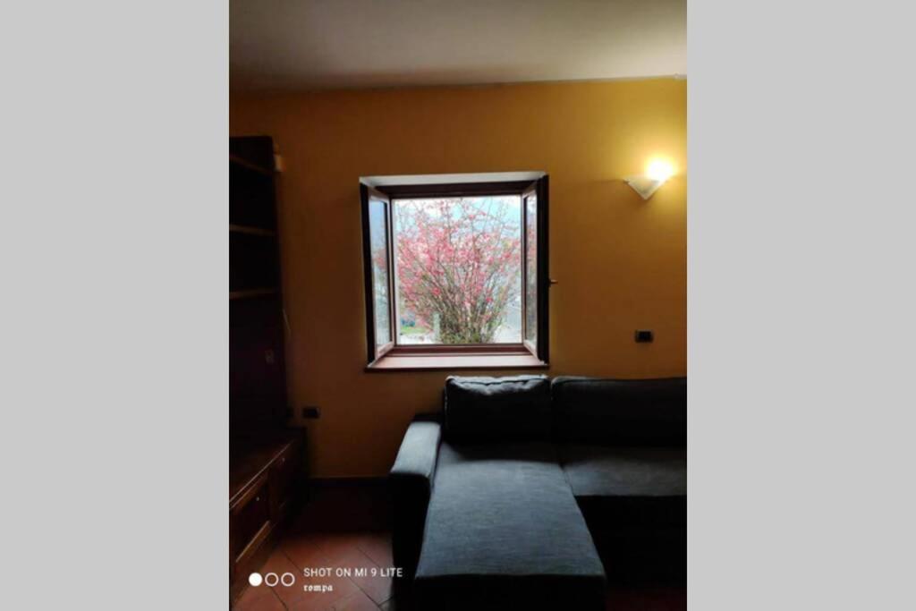 Villa Nido Di Rongio Mandello del Lario Exterior foto